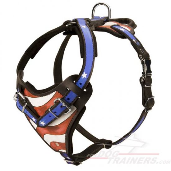 Leather Dog Harness for Mastiff Training Painted by Hands