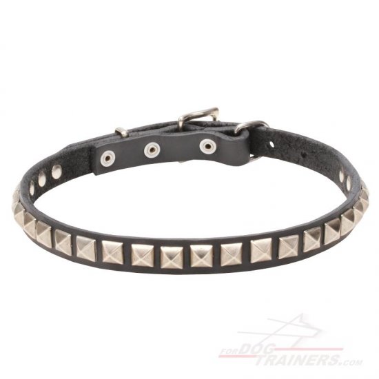 Mastiff Puppy Collar with Square Studs and Strong Buckle