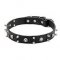 Dog Collar with Skulls and Spikes for Pirate Style of Your Mastiff