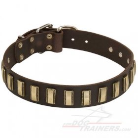 Big Dog Collars UK Bestsellers with Awesome Brass Plates for Mastiff Dogs