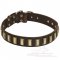 Big Dog Collars UK Bestsellers with Awesome Brass Plates for Mastiff Dogs