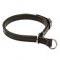 Choke Collar for Bullmastiff Training, 2 Ply Leather