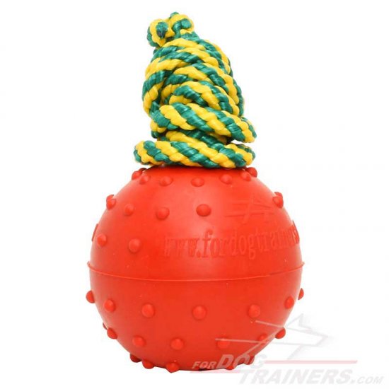 Dog Water Toy, Solid Rubber Ball on Rope of 2.3" Diameter