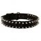 Spiked Dog Collar with Buckle Made of Nylon