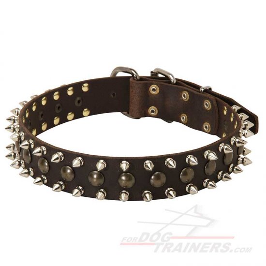 Large Spiked Dog Collar for Dogue De Bordeaux with Brass Rivets