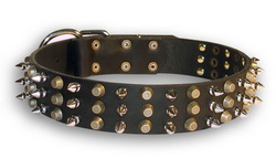 Gladiator Style Dog Collars for Neapolan Mastiff with Pyramids and Spikes