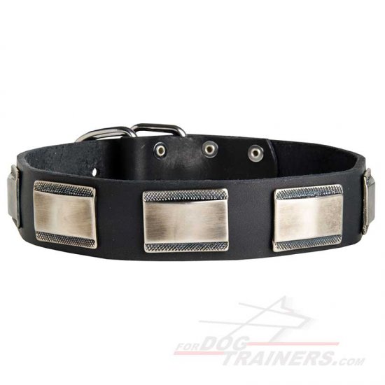 Cane Corso Dog Collar with Steel Plates and Hardware