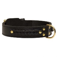 Braided Leather Collar for Mastiff, Wide 2 Ply Leather