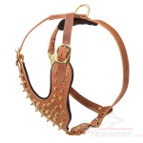 Dog Walking Harness with Golden Spikes for Mastiff Gorgeous Style