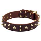 New Dog Collars Collection Designer Leather Dog Collar with Skulls and Spikes