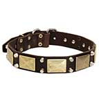 Mastiff Collar with Studs and Plates UK Bestseller