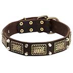 Cane Corso Leather Dog Collar with Elegant Plates and Cones