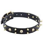 Embellished Dog Collars with Brass Skulls and Spikes for Mastiff Breeds