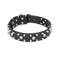 Mastiff Dog Collar with Spikes and Skulls on Genuine Leather