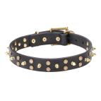 Dog Collar Designs Stardust for Mastiff Breeds