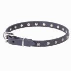 Mastiff Puppy Collar of Star-Studded Style