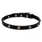 Thin Leather Dog Collars with Flowers for Mastiff Puppies