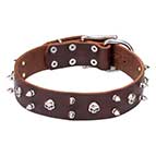 Leather Dog Collar with Skulls and Spikes