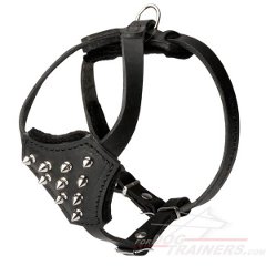 Spiked Dog Harness for Mastiff Puppy