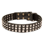 Bullmastiff Collars with Square Studs and a Strong Buckle