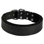 Soft Leather Collars for Dogs Walking, Felt Padded