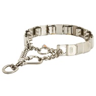 Sprenger Neck Tech Sport Prong Collar with "Mother's Teeth" for Mastiff Training