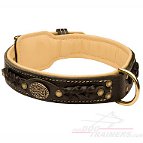 Cane Corso Collar with Soft Leather Lining and Braids