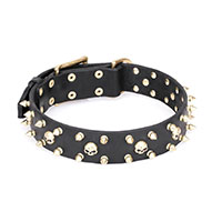 Mastiff Spiked Collars for Big Dogs with Brass Skulls
