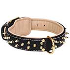 Luxury Dog Collar with Spikes and Soft Nappa Lining