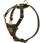 Leather-Dog-Harness-For-Puppy-Royal
