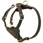 Mastiff Puppy Harness for Pug, Small Dog, and Puppy