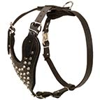 Studded Dog Harness for Mastiff with Pyramids
