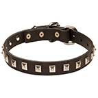 Quality Leather Dog Collars for Mastiff, Nickel Studded Design