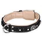 Thick Dog Collar for Large Dogs Like Mastiff, Gorgeous Design