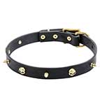Leather Pirate Dog Collar with Spikes and Skulls for Mastiff Puppy