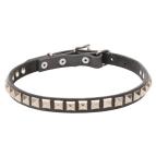 Mastiff Puppy Collar with Square Studs and Strong Buckle