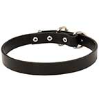 Best Walking Collar For Great Dane "Noble Pet"