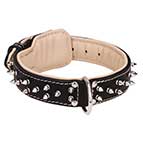Soft Dog Collar for Big Dogs Like Mastiff, Nappa Padded and Spiked