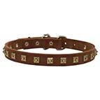 Leather Collar for Dog De Bordeaux with Brass Studs