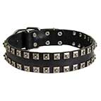 Studded Dog Collar for Bullmastiff "Caterpillar"