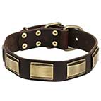 Leather Handmade Dog Collars with Brass Plates for Mastiff Walking