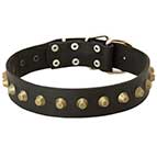 Soft Leather Dog Collar with Brass Pyramids for Mastiff
