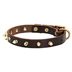 Cane Corso Leather Dog Collar with Brass Spikes