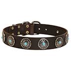 Leather Dog Collar with Blue Studs for Bullmastiff