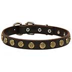 Necklace Dog Collar for Cane Corso with Brass Studs