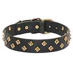 Mastiff Collars with Brass Diamonds
