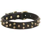 Exclusive Dog Collar Jewelry Studded Design for Mastiff