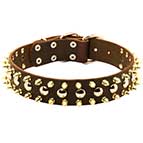 Fashion Dog Collar with Spikes and Rivets | Best Mastiff Collar