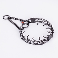 Prong Collar For English Mastiff "Strict Orders"