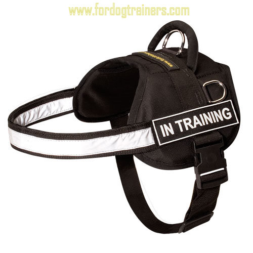Reflective Dog Harness with High Vis Strap and Patches for Mastiff